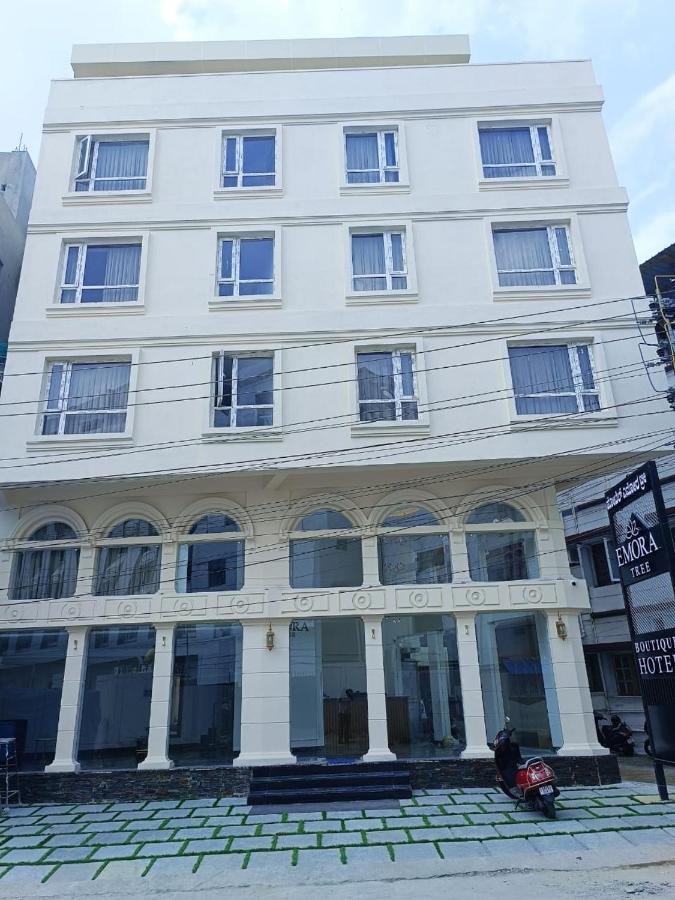 Hotel Emora Tree 迈索尔 外观 照片
