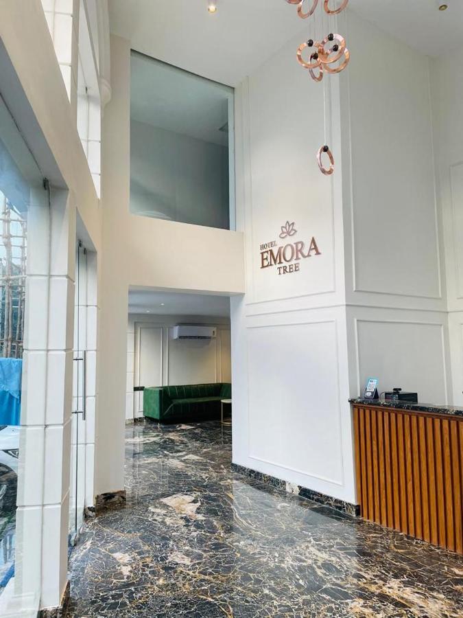 Hotel Emora Tree 迈索尔 外观 照片